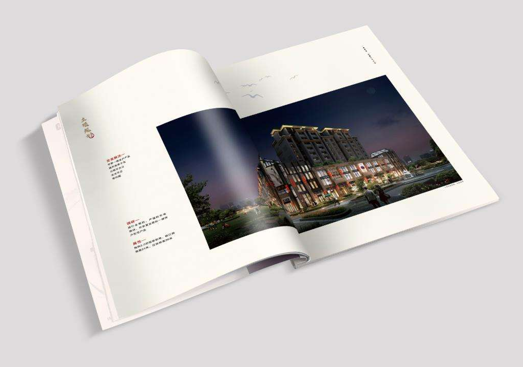 東莞專業(yè)畫冊(cè)設(shè)計(jì)